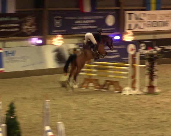 Nordic Jumping events 2019