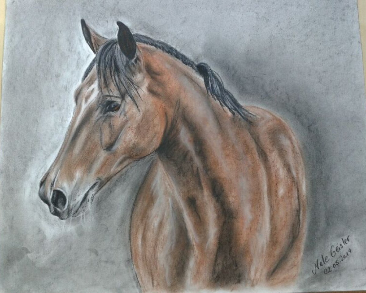 broodmare Romney (Oldenburg, 1996, from Ronald)