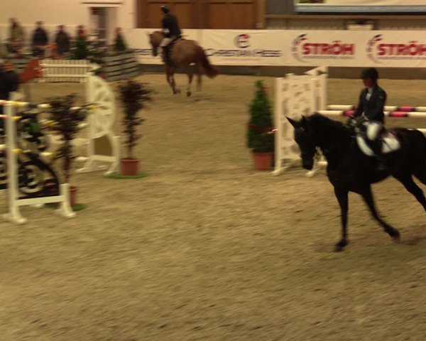 Nordic Jumping events 2019