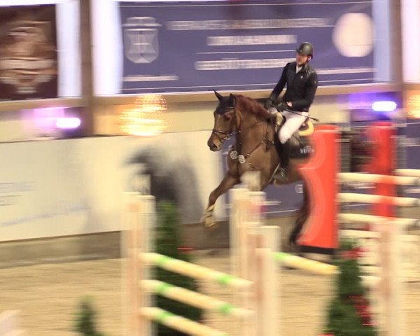 Nordic Jumping events 2019