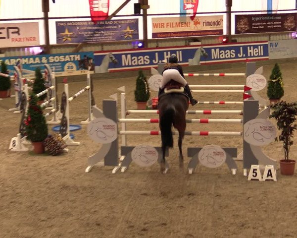 Nordic Jumping events 2019