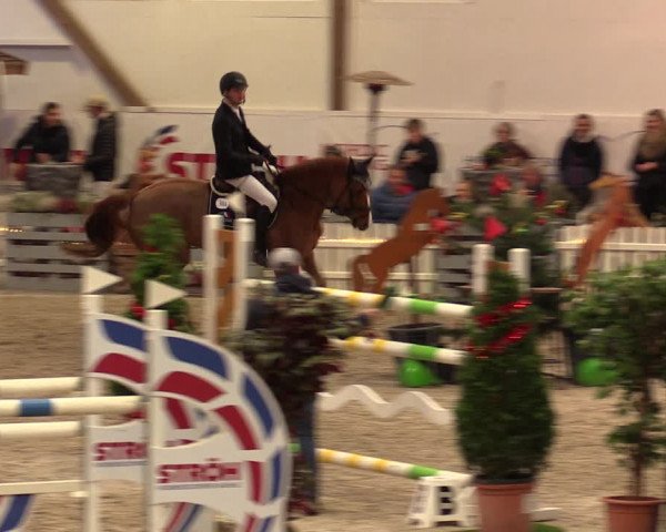 Nordic Jumping events 2019