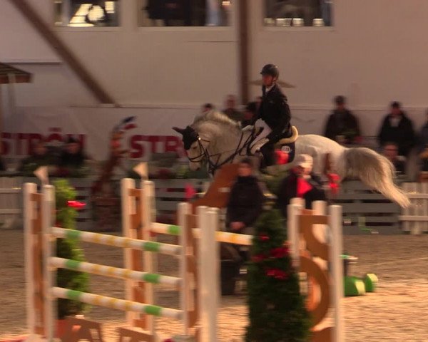 Nordic Jumping events 2019