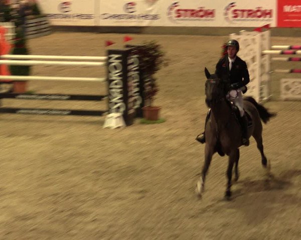 Nordic Jumping events 2019