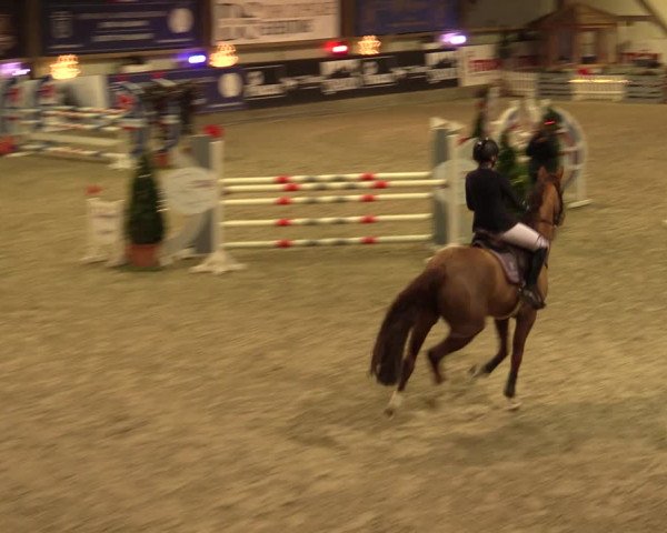 Nordic Jumping events 2019