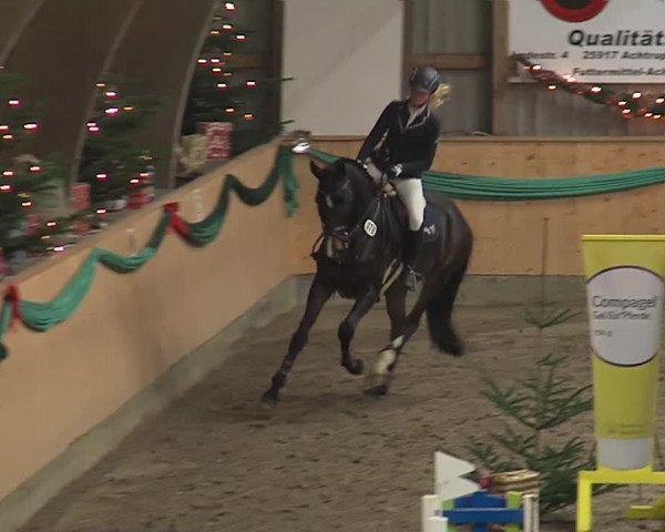 Reitturnier Leck 2019