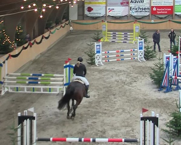 Reitturnier Leck 2019