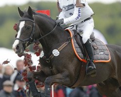 jumper Cookie (German Riding Pony, 2001, from Caprimond)