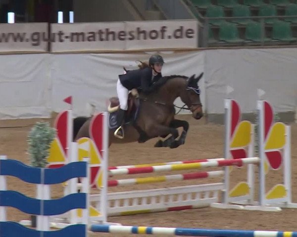 Reitturnier Kreuth/Opf. 2019