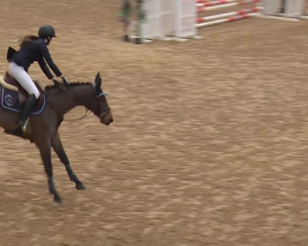 Reitturnier Kreuth/Opf. 2019