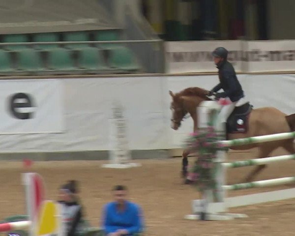 Reitturnier Kreuth/Opf. 2019