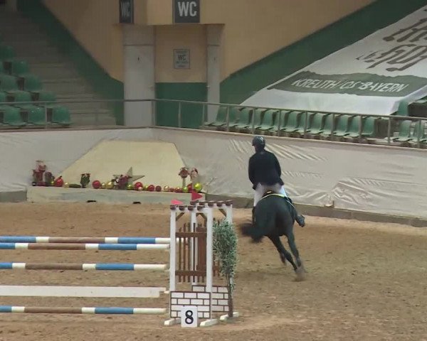Reitturnier Kreuth/Opf. 2019