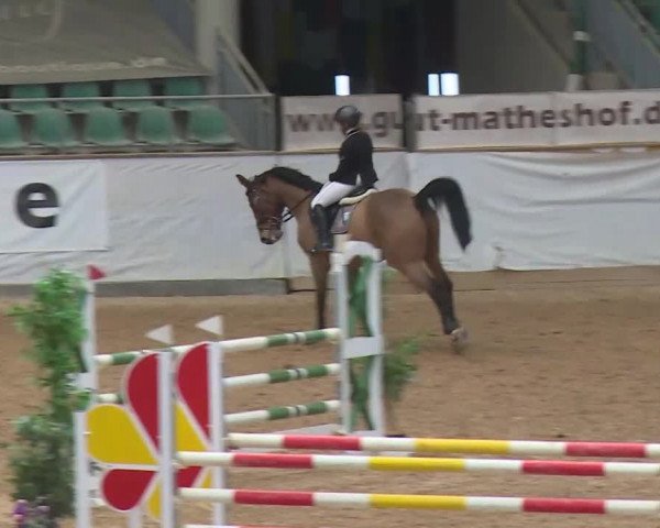 Reitturnier Kreuth/Opf. 2019