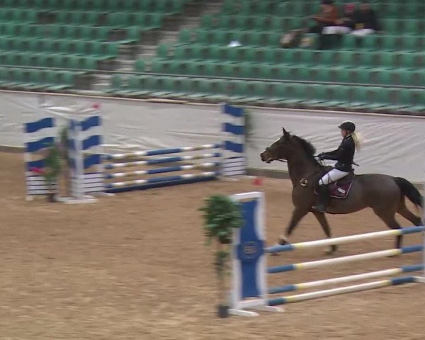 Reitturnier Kreuth/Opf. 2019