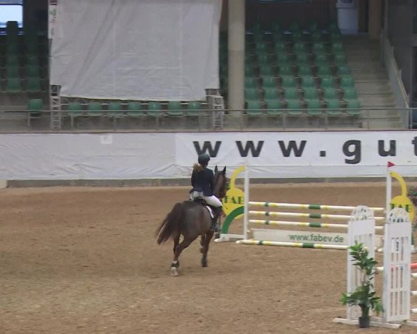 Reitturnier Kreuth/Opf. 2019