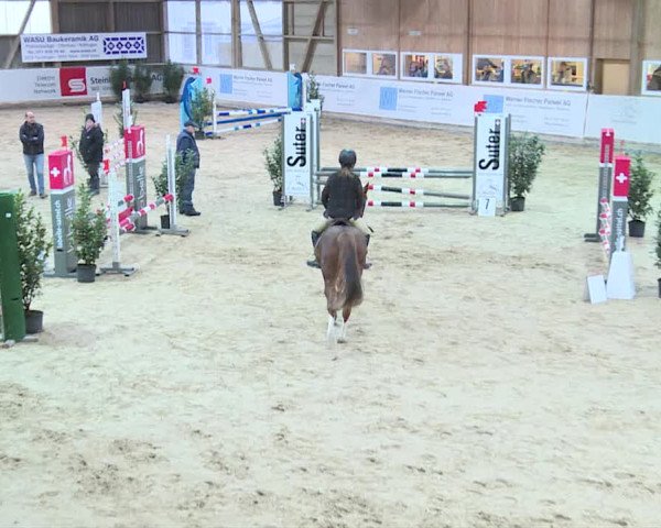 Reitturnier Henau 2019