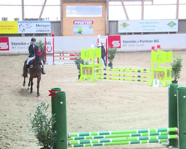 Reitturnier Henau 2019