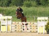 jumper Advance' As (KWPN (Royal Dutch Sporthorse), 2010, from Advance)