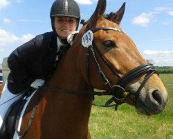 dressage horse Filou (unknown, 2005, from Nirvana van de Zonnehoeve)