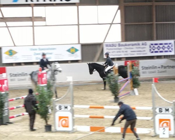 Reitturnier Henau 2019