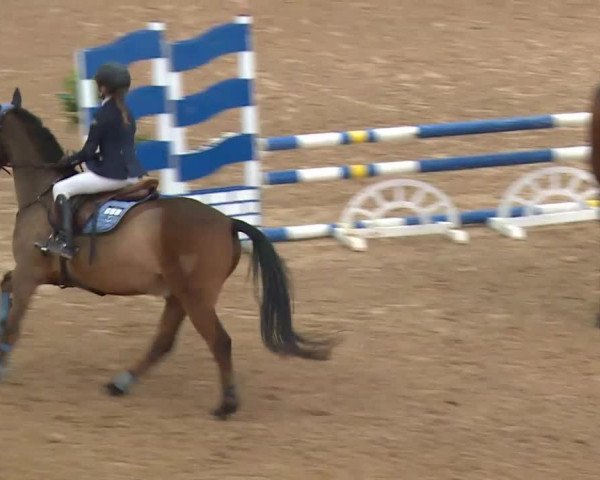 Reitturnier Kreuth/Opf. 2019
