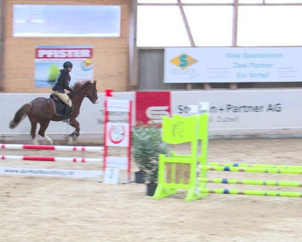Reitturnier Henau 2019