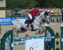 jumper Horse Gym's Fire Lady (Holsteiner, 2003, from Limbus)