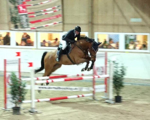 Reitturnier Henau 2019