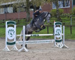 jumper Le Charmeur (Westfale, 2011, from Levisonn 208 FIN)