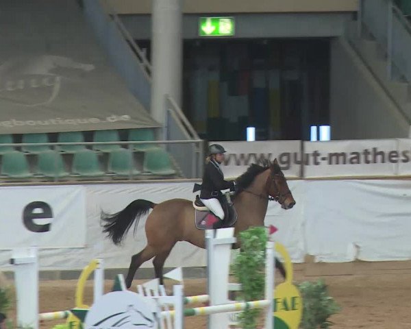 Reitturnier Kreuth/Opf. 2019