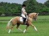 broodmare Hilkens Sunny Delight (German Riding Pony, 2007, from FS Golden Moonlight)