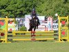 dressage horse Jaz 3 (Welsh-Pony (Section B), 2010)