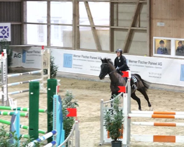 Reitturnier Henau 2019