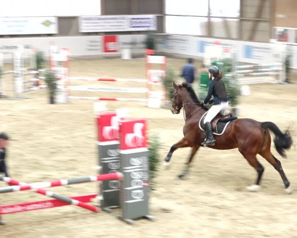 Reitturnier Henau 2019