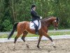 dressage horse Cronic Way (Holsteiner, 2010, from Clintaro)