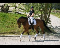 dressage horse Esthano R (Westphalian, 2009, from Estobar NRW)