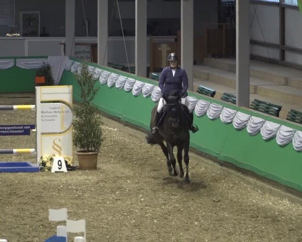 Reitturnier Gahlen 2020