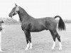 stallion Rentheer (KWPN (Royal Dutch Sporthorse), 1975, from Jonkheer)