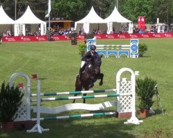 stallion Diamantde (Oldenburg show jumper, 2010, from Diarado)