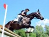 broodmare Hin Und Weg 2 (Trakehner, 2011, from Abendtanz)