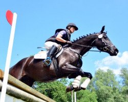 broodmare Hin Und Weg 2 (Trakehner, 2011, from Abendtanz)