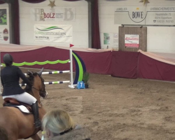 Reitturnier Eppelheim 2020
