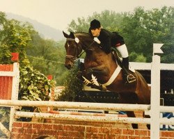 broodmare Regina (Hungarian Warmblood, 1981, from Toborzó I)