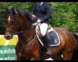 dressage horse Solong (Oldenburg, 2002, from Sandro Hit)