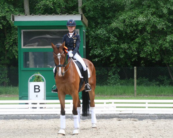 dressage horse Alonso V (KWPN (Royal Dutch Sporthorse), 2005, from Clint Eastwood)