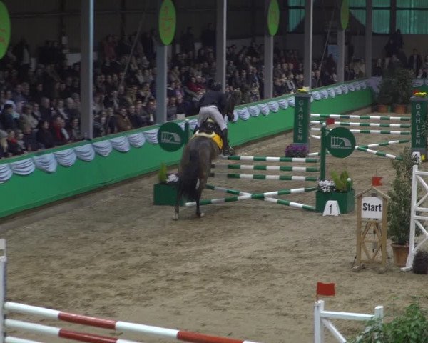 Reitturnier Gahlen 2020
