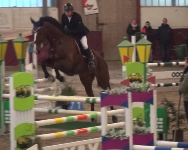 Reitturnier Eppelheim 2020