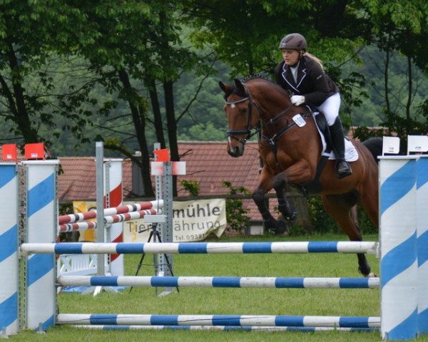 jumper Rhino Reenz (German Sport Horse, 2008, from Rich Charly I)