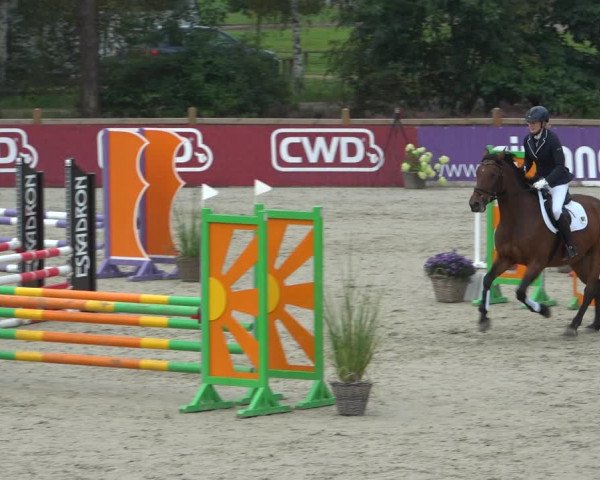 Reitturnier Westergellersen 2021