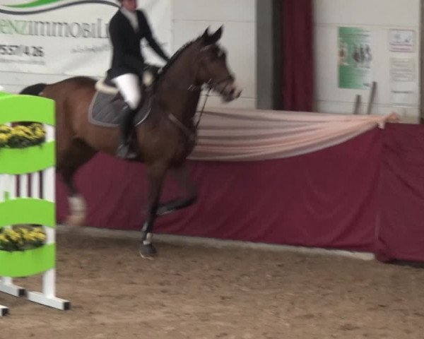 Reitturnier Eppelheim 2020
